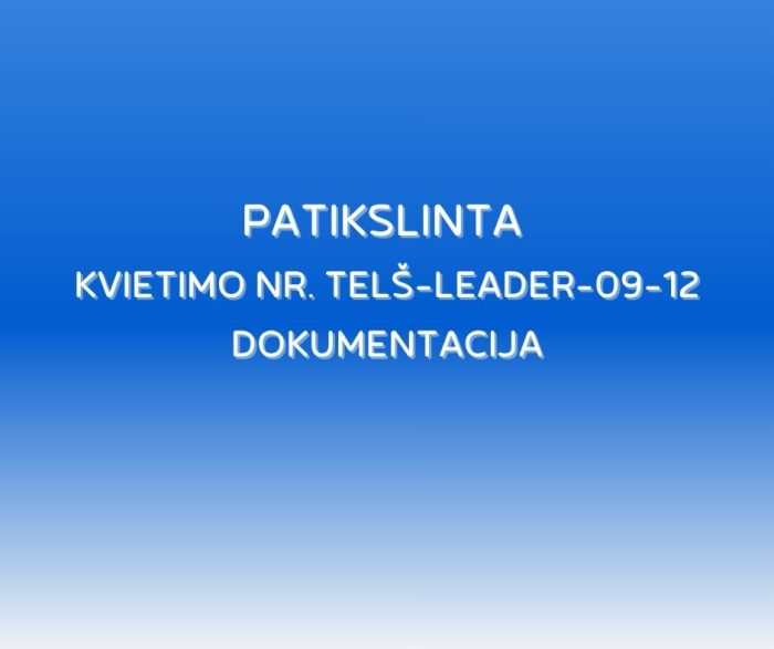 „KVIETIMAS TEIKTI VIETOS PROJEKTUS“ kopija (2)